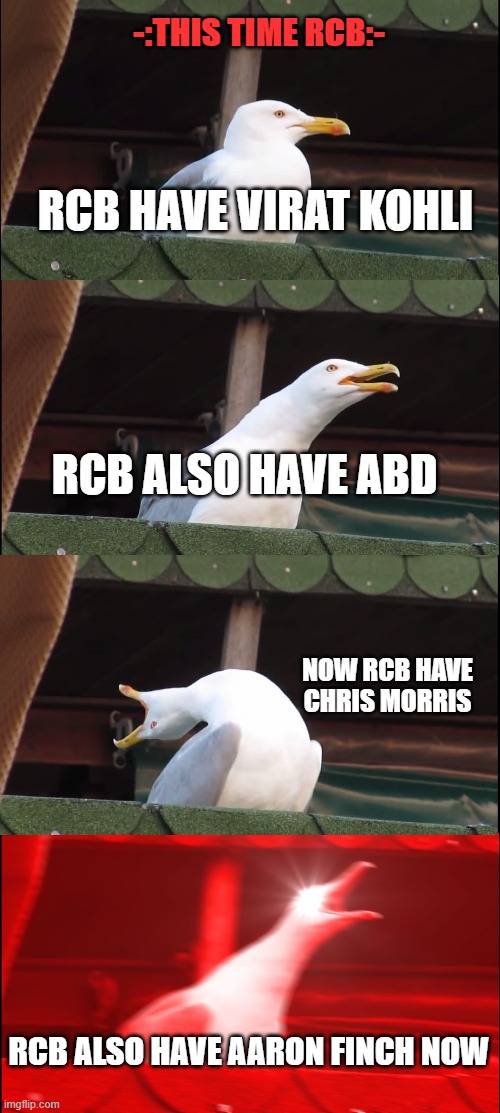 rcb ipl | -:THIS TIME RCB:-; RCB HAVE VIRAT KOHLI; RCB ALSO HAVE ABD; NOW RCB HAVE CHRIS MORRIS; RCB ALSO HAVE AARON FINCH NOW | image tagged in memes,inhaling seagull | made w/ Imgflip meme maker