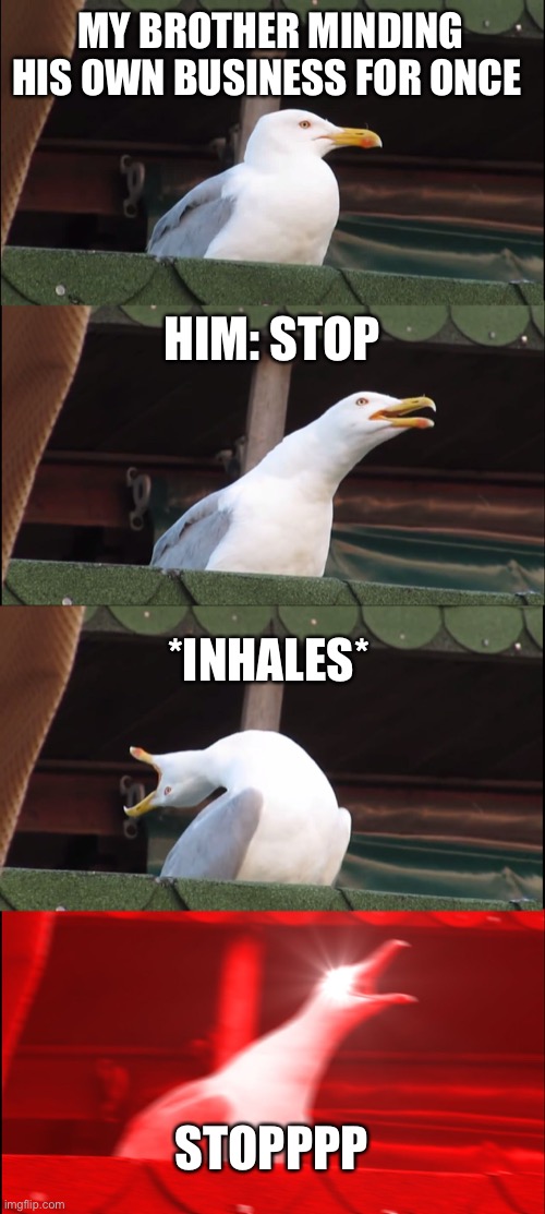 Inhaling Seagull | MY BROTHER MINDING HIS OWN BUSINESS FOR ONCE; HIM: STOP; *INHALES*; STOPPPP | image tagged in memes,inhaling seagull | made w/ Imgflip meme maker