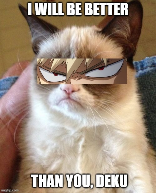 Grumpy Cat | I WILL BE BETTER; THAN YOU, DEKU | image tagged in memes,grumpy cat | made w/ Imgflip meme maker