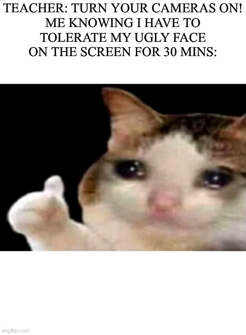 Sad cat thumbs up | TEACHER: TURN YOUR CAMERAS ON!

ME KNOWING I HAVE TO TOLERATE MY UGLY FACE ON THE SCREEN FOR 30 MINS: | image tagged in sad cat thumbs up | made w/ Imgflip meme maker