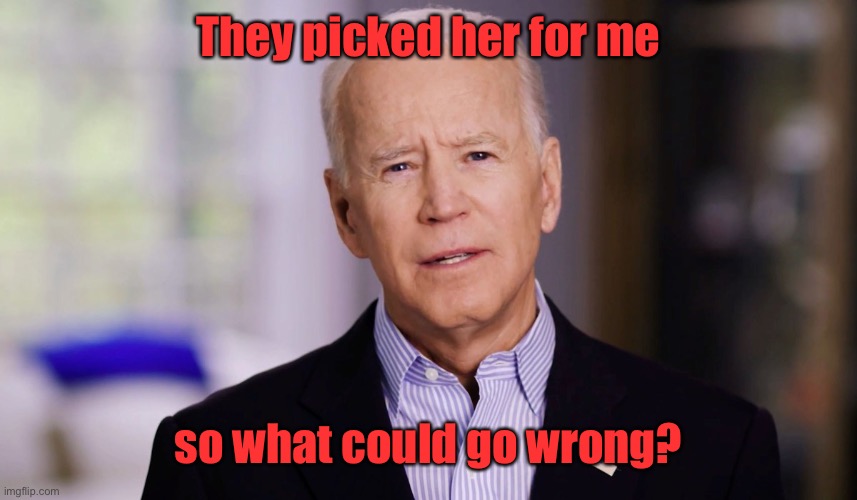 Joe Biden 2020 | They picked her for me so what could go wrong? | image tagged in joe biden 2020 | made w/ Imgflip meme maker