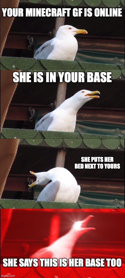 every minecrafters dream | YOUR MINECRAFT GF IS ONLINE; SHE IS IN YOUR BASE; SHE PUTS HER BED NEXT TO YOURS; SHE SAYS THIS IS HER BASE TOO | image tagged in memes,inhaling seagull | made w/ Imgflip meme maker