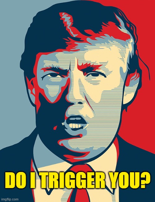 Fill the seat! Four more years! MAGA 2020 | DO I TRIGGER YOU? | image tagged in trump shepard fairey,potus45,trrump | made w/ Imgflip meme maker