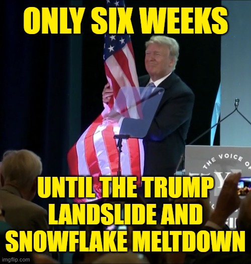 Taking America back from the Leftist horde this November. | ONLY SIX WEEKS; UNTIL THE TRUMP LANDSLIDE AND SNOWFLAKE MELTDOWN | image tagged in election 2020,donald trump | made w/ Imgflip meme maker