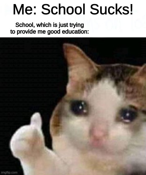 me sad | Me: School Sucks! School, which is just trying to provide me good education: | image tagged in sad thumbs up cat,school | made w/ Imgflip meme maker