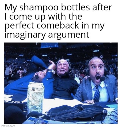 my shampoo bottles when i argue with myself | image tagged in gotanypain | made w/ Imgflip meme maker