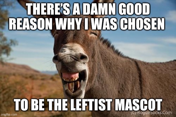 Braying Jackass | THERE’S A DAMN GOOD REASON WHY I WAS CHOSEN TO BE THE LEFTIST MASCOT | image tagged in braying jackass | made w/ Imgflip meme maker