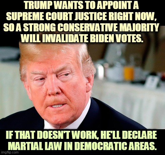 Suddenly the words "fascist dictator" take on a new reality. | TRUMP WANTS TO APPOINT A 
SUPREME COURT JUSTICE RIGHT NOW, 
SO A STRONG CONSERVATIVE MAJORITY 
WILL INVALIDATE BIDEN VOTES. IF THAT DOESN'T WORK, HE'LL DECLARE 
MARTIAL LAW IN DEMOCRATIC AREAS. | image tagged in trump lip curl as his world goes to shit,trump,fascist,dictator,supreme court | made w/ Imgflip meme maker