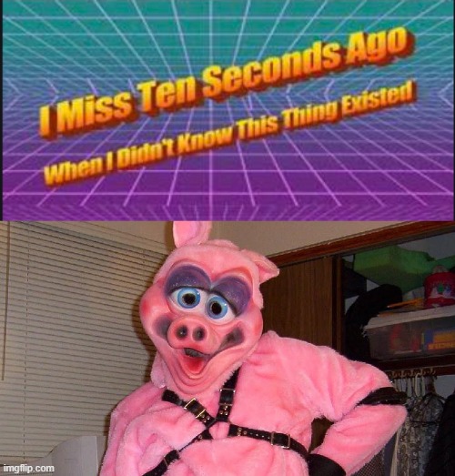 image tagged in i miss ten seconds ago when i didn't know this thing existed | made w/ Imgflip meme maker