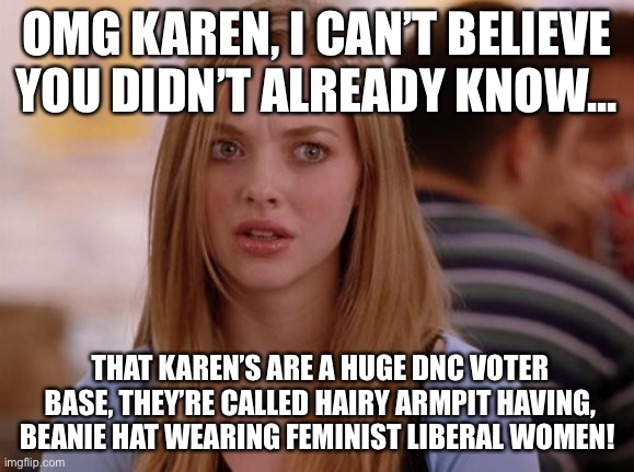 OMG Karen Meme | OMG KAREN, I CAN’T BELIEVE YOU DIDN’T ALREADY KNOW... THAT KAREN’S ARE A HUGE DNC VOTER BASE, THEY’RE CALLED HAIRY ARMPIT HAVING, BEANIE HAT | image tagged in memes,omg karen | made w/ Imgflip meme maker