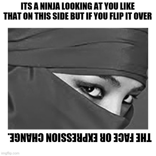 flip it and then the face will change | ITS A NINJA LOOKING AT YOU LIKE THAT ON THIS SIDE BUT IF YOU FLIP IT OVER; THE FACE OR EXPRESSION CHANGE. | image tagged in gotanypain,niapynatog | made w/ Imgflip meme maker