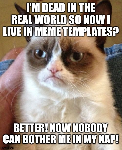 R.I.P. | I'M DEAD IN THE REAL WORLD SO NOW I LIVE IN MEME TEMPLATES? BETTER! NOW NOBODY CAN BOTHER ME IN MY NAP! | image tagged in memes,grumpy cat,death,sad,imgflip | made w/ Imgflip meme maker