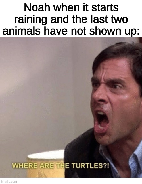 I wonder if this happened to noah... | Noah when it starts raining and the last two animals have not shown up: | image tagged in where are the turtles,memes,christian | made w/ Imgflip meme maker