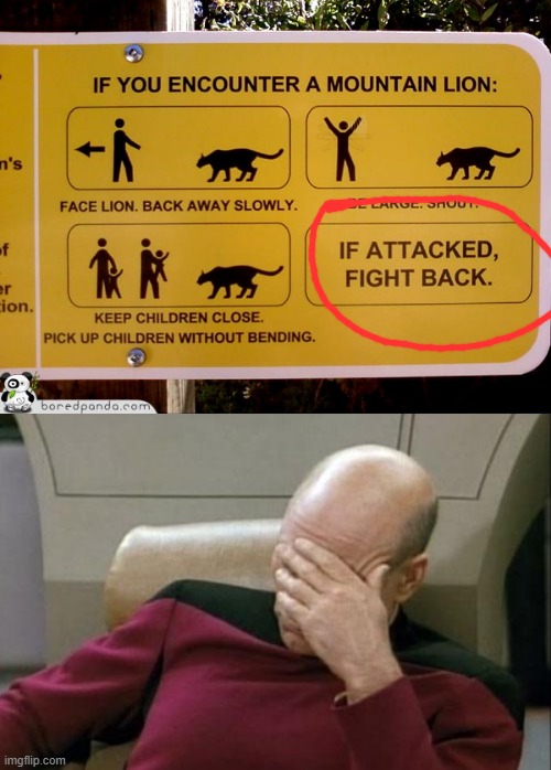 lol wot? | image tagged in memes,captain picard facepalm,funny,stupid,stupid suggestions | made w/ Imgflip meme maker