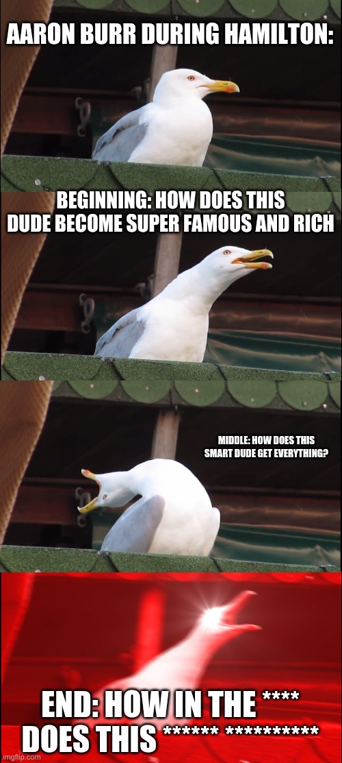 Inhaling Seagull | AARON BURR DURING HAMILTON:; BEGINNING: HOW DOES THIS DUDE BECOME SUPER FAMOUS AND RICH; MIDDLE: HOW DOES THIS SMART DUDE GET EVERYTHING? END: HOW IN THE **** DOES THIS ****** ********** | image tagged in memes,inhaling seagull | made w/ Imgflip meme maker