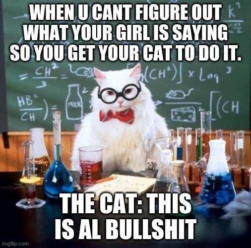 the cat | WHEN U CANT FIGURE OUT WHAT YOUR GIRL IS SAYING SO YOU GET YOUR CAT TO DO IT. THE CAT: THIS IS AL BULLSHIT | image tagged in memes,chemistry cat | made w/ Imgflip meme maker
