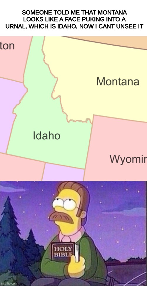 You will not unsee it ever agian | SOMEONE TOLD ME THAT MONTANA LOOKS LIKE A FACE PUKING INTO A URNAL, WHICH IS IDAHO, NOW I CANT UNSEE IT | image tagged in memes,can't unsee,help | made w/ Imgflip meme maker
