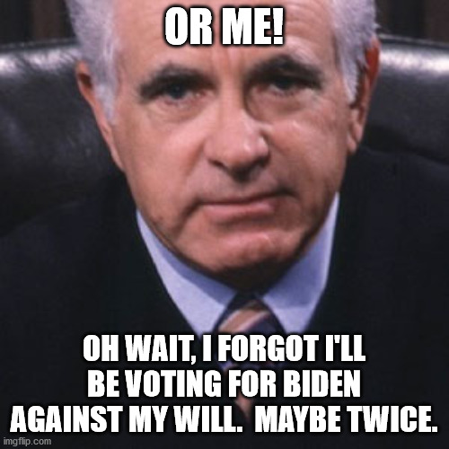 Judge Wapner | OR ME! OH WAIT, I FORGOT I'LL BE VOTING FOR BIDEN AGAINST MY WILL.  MAYBE TWICE. | image tagged in judge wapner | made w/ Imgflip meme maker