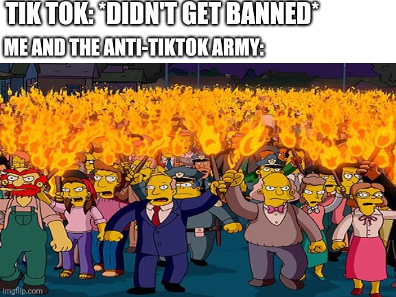 WE ARE OUTRAGED!!!! (It was supposed to be banned) >:( | TIK TOK: *DIDN'T GET BANNED*; ME AND THE ANTI-TIKTOK ARMY: | made w/ Imgflip meme maker