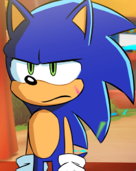 High Quality Sonic bruh seriously Blank Meme Template