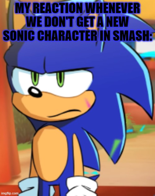 why nintendo? (new template btw) | MY REACTION WHENEVER WE DON'T GET A NEW SONIC CHARACTER IN SMASH: | image tagged in sonic bruh seriously,super smash bros,sonic the hedgehog,dlc | made w/ Imgflip meme maker