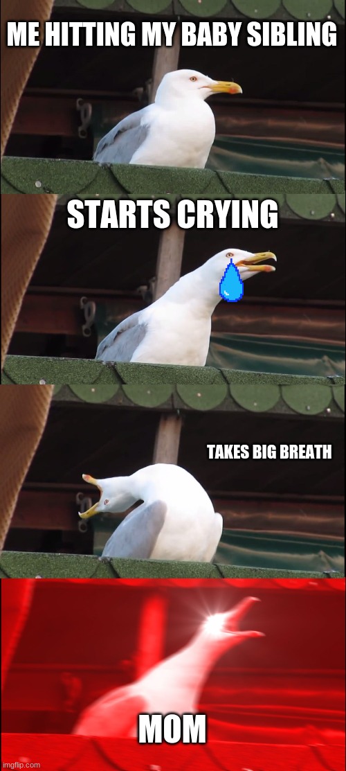 Inhaling Seagull | ME HITTING MY BABY SIBLING; STARTS CRYING; TAKES BIG BREATH; MOM | image tagged in memes,inhaling seagull | made w/ Imgflip meme maker