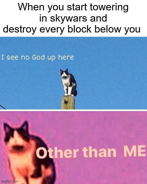 Hail pole cat | When you start towering in skywars and destroy every block below you | image tagged in hail pole cat | made w/ Imgflip meme maker