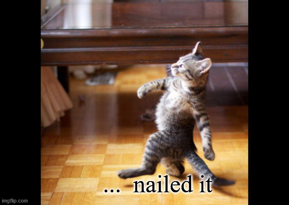 nailed it | ...  nailed it | image tagged in upvote meme | made w/ Imgflip meme maker