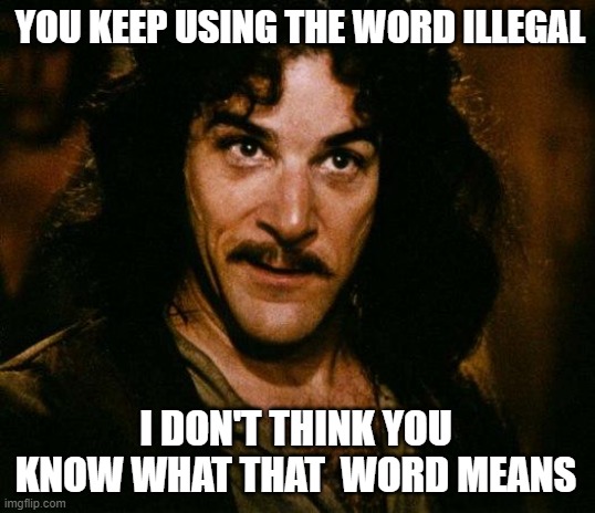 The Term Illegal Immigrant | YOU KEEP USING THE WORD ILLEGAL; I DON'T THINK YOU KNOW WHAT THAT  WORD MEANS | image tagged in memes,inigo montoya,illegal,aliens,immigrant | made w/ Imgflip meme maker