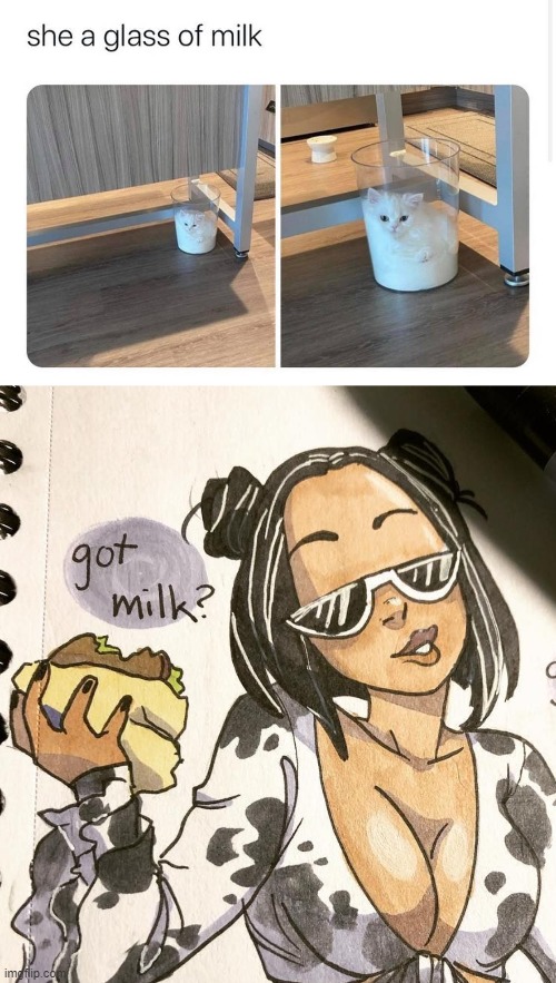 Not really rap but Doja Cat approves lol | image tagged in doja cat bitch i m a cow,milk,got milk,cat,cute cat,cats | made w/ Imgflip meme maker