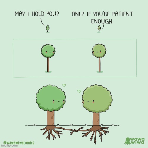 dawww (repost) | image tagged in repost,trees,happy little trees,wholesome,relationships,relationship | made w/ Imgflip meme maker