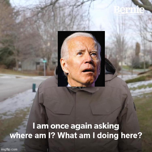 His keen mind cuts to the important questions. | where am I? What am I doing here? | image tagged in memes,bernie i am once again asking for your support,joe biden,confused joe biden,dementia | made w/ Imgflip meme maker