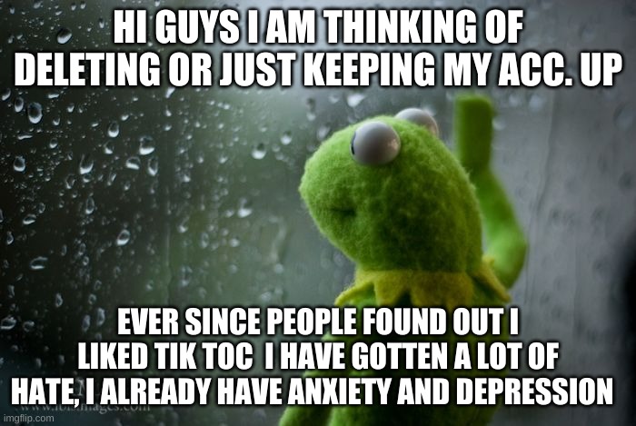 kermit window | HI GUYS I AM THINKING OF DELETING OR JUST KEEPING MY ACC. UP; EVER SINCE PEOPLE FOUND OUT I LIKED TIK TOC  I HAVE GOTTEN A LOT OF HATE, I ALREADY HAVE ANXIETY AND DEPRESSION | image tagged in kermit window | made w/ Imgflip meme maker