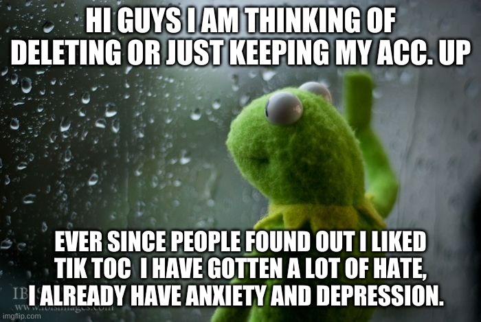 kermit window | HI GUYS I AM THINKING OF DELETING OR JUST KEEPING MY ACC. UP; EVER SINCE PEOPLE FOUND OUT I LIKED TIK TOC  I HAVE GOTTEN A LOT OF HATE, I ALREADY HAVE ANXIETY AND DEPRESSION. | image tagged in kermit window | made w/ Imgflip meme maker