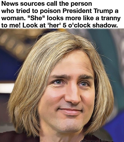 Justin Trudeau goes rogue | News sources call the person who tried to poison President Trump a woman. "She" looks more like a tranny to me! Look at 'her' 5 o'clock shadow. | image tagged in assassin,tranny,justin trudeau,soyboy,cuck,satire | made w/ Imgflip meme maker