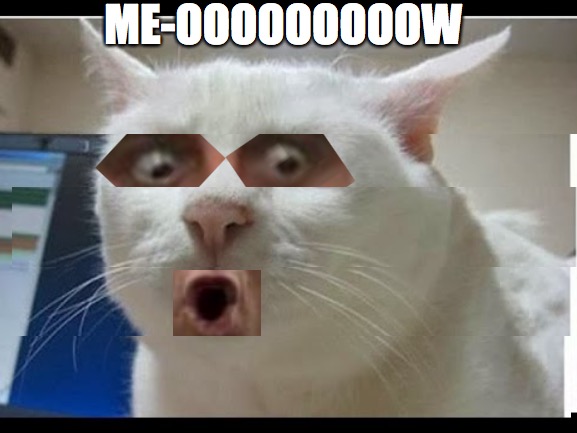 We have all met this cat | ME-OOOOOOOOOW | image tagged in surprised face,meow,woo,ricflair,eyes,mouth | made w/ Imgflip meme maker