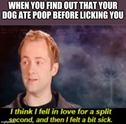 yuck | WHEN YOU FIND OUT THAT YOUR DOG ATE POOP BEFORE LICKING YOU | image tagged in i think i fell in love for a split second | made w/ Imgflip meme maker