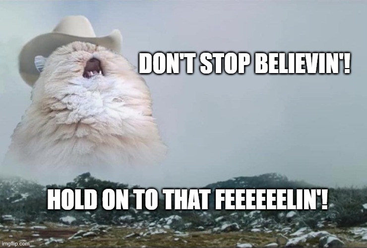 Don't Stop Believin'! |  DON'T STOP BELIEVIN'! HOLD ON TO THAT FEEEEEELIN'! | image tagged in screaming cowboy cat | made w/ Imgflip meme maker