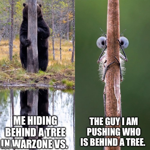 Can’t hit him. Can’t push him. | THE GUY I AM PUSHING WHO IS BEHIND A TREE. ME HIDING BEHIND A TREE IN WARZONE VS. | image tagged in call of duty | made w/ Imgflip meme maker