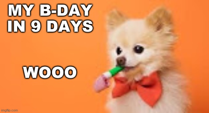 Yay! | MY B-DAY IN 9 DAYS; WOOO | image tagged in party dog,birthday | made w/ Imgflip meme maker