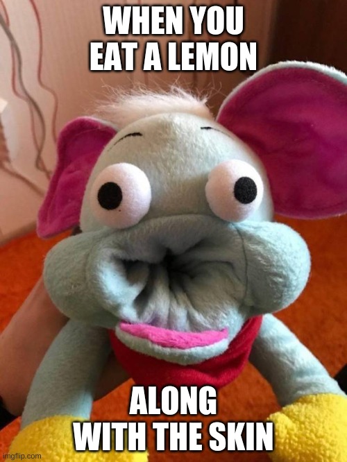 WHEN YOU EAT A LEMON; ALONG WITH THE SKIN | made w/ Imgflip meme maker