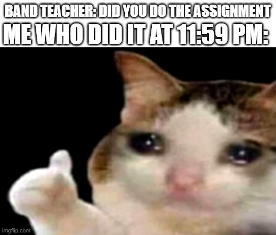 When your teacher tells you to do an assignment | BAND TEACHER: DID YOU DO THE ASSIGNMENT; ME WHO DID IT AT 11:59 PM: | image tagged in sad cat thumbs up | made w/ Imgflip meme maker