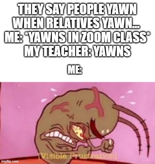 Visible Frustration | THEY SAY PEOPLE YAWN WHEN RELATIVES YAWN... 
ME: *YAWNS IN ZOOM CLASS*
MY TEACHER: YAWNS; ME: | image tagged in visible frustration | made w/ Imgflip meme maker