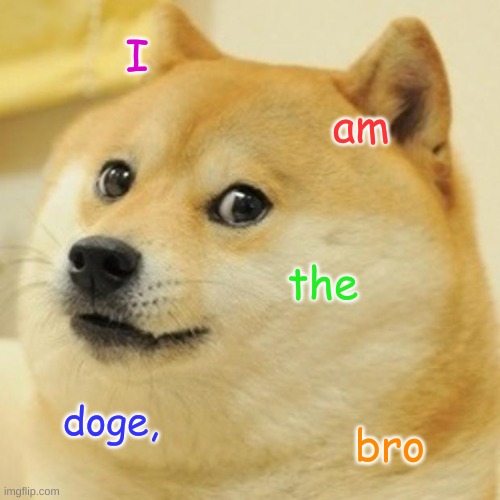 Doge | I; am; the; doge, bro | image tagged in memes,doge | made w/ Imgflip meme maker