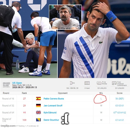 Djokovic US Open Default | :( | image tagged in djokovic,tennis,loss,novak,default,ball | made w/ Imgflip meme maker