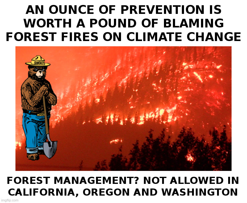 An Ounce of Prevention | image tagged in smokey the bear,forest fire,california,oregon,washington,burning | made w/ Imgflip meme maker