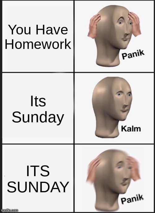 Panik Kalm Panik | You Have Homework; Its Sunday; ITS SUNDAY | image tagged in memes,panik kalm panik | made w/ Imgflip meme maker