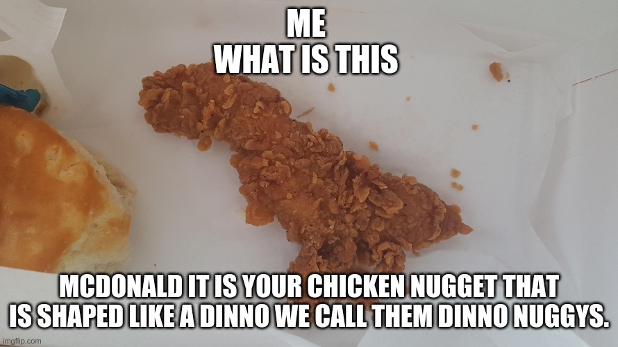 realy | ME 
WHAT IS THIS; MCDONALD IT IS YOUR CHICKEN NUGGET THAT IS SHAPED LIKE A DINNO WE CALL THEM DINNO NUGGYS. | image tagged in stupid | made w/ Imgflip meme maker