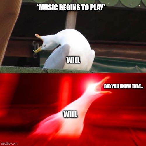 BOY seagull | *MUSIC BEGINS TO PLAY*; WILL; DID YOU KNOW THAT... WILL | image tagged in boy seagull | made w/ Imgflip meme maker