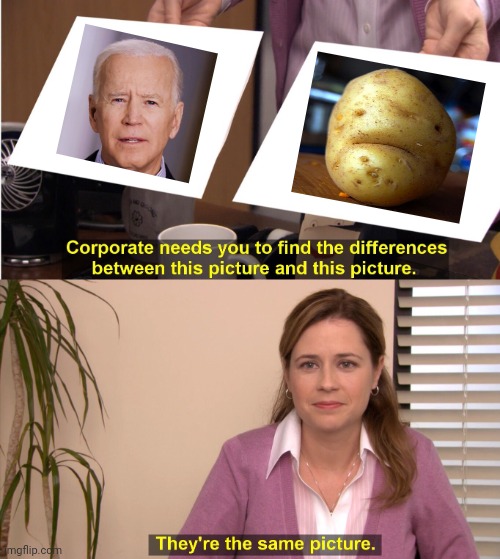 PoTayToe Joe | image tagged in memes,they're the same picture,mr potato head,joe biden | made w/ Imgflip meme maker
